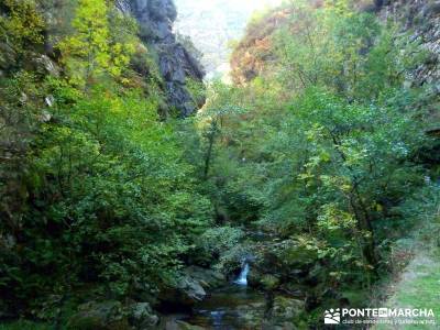 Hayedos Parque Natural de Redes;clubes de senderismo madrid excursiones madrid sierra excursiones en